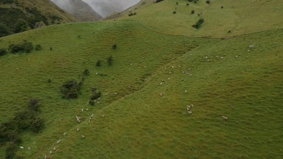 Goedkoop ???? Merkloos Pelgrim Wol - De Nummer *1* Anti-Druk Wandelwol - 40 Gram - Natuurlijke Blarenpleisters - 100% Merino Wol Ultrazacht & Comfortabel - Voorkomt En Verzacht Voetongemak - Tegen Blaren - Anti Druk Voetwol ???? 2 Goedkoop ???? Merkloos Pelgrim Wol - De Nummer *1* Anti-Druk Wandelwol - 40 Gram - Natuurlijke Blarenpleisters - 100% Merino Wol Ultrazacht & Comfortabel - Voorkomt En Verzacht Voetongemak - Tegen Blaren - Anti Druk Voetwol ???? - Afbeelding 2