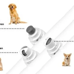 Top 10 ???? We Flow ® Elektrische Nagel Vijl Voor Huisdieren - Trimmer - Draadloos - Diamante Vijlkop - Honden/Katten/Konijnen. ???? 7 Top 10 ???? We Flow ® Elektrische Nagel Vijl Voor Huisdieren - Trimmer - Draadloos - Diamante Vijlkop - Honden/Katten/Konijnen. ???? -Weleda Shop 550x373 3