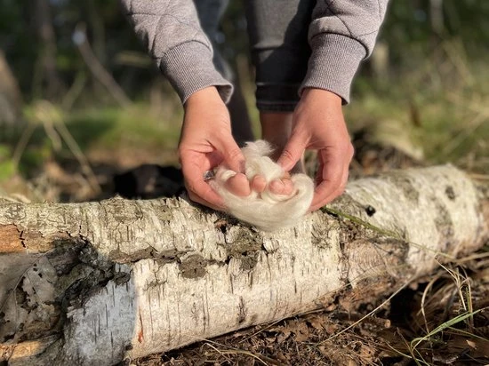 Goedkoop ???? Merkloos Pelgrim Wol - De Nummer *1* Anti-Druk Wandelwol - 40 Gram - Natuurlijke Blarenpleisters - 100% Merino Wol Ultrazacht & Comfortabel - Voorkomt En Verzacht Voetongemak - Tegen Blaren - Anti Druk Voetwol ???? 3 Goedkoop ???? Merkloos Pelgrim Wol - De Nummer *1* Anti-Druk Wandelwol - 40 Gram - Natuurlijke Blarenpleisters - 100% Merino Wol Ultrazacht & Comfortabel - Voorkomt En Verzacht Voetongemak - Tegen Blaren - Anti Druk Voetwol ???? - Afbeelding 3
