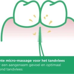 Uitgang β Gum Advanced Large 30 Stuks ???? 15 Uitgang β Gum Advanced Large 30 Stuks ???? -Weleda Shop 550x417 2