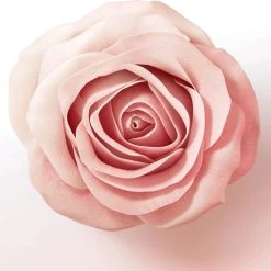 Groothandel ???? Pantene Shampoo Lift & Volume Biotine En Rozenwater Voor Dikker En Langer Haar - Voordeelverpakking - 6x225 Ml ???? -Weleda Shop 550x509