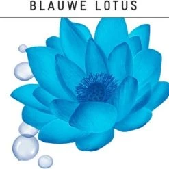 Nieuw ???? Guhl Fӧhn-Active Styling Spray Langdurig Volume - 4 X 125 Ml ⭐ -Weleda Shop 550x522 2