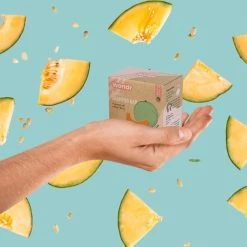 Coupon ???? WONDR Care WONDR - Shampoo Bar - Sweet Melon - Gevoelige Hoofdhuid - Hydraterend - SLS/SCS-vrij β 10 Coupon ???? WONDR Care WONDR - Shampoo Bar - Sweet Melon - Gevoelige Hoofdhuid - Hydraterend - SLS/SCS-vrij β -Weleda Shop 550x541