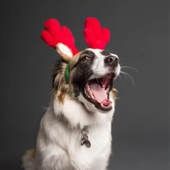 Top 10 ???? Holly Jolly ???? Christmas Collection Kerst Haarband Rendier - Diadeem En Accessoires Voor Kerst - Tiara Voor Kinderen En Volwassenen - 30 Cm - 6 Stuks ???? -Weleda Shop 550x550 28