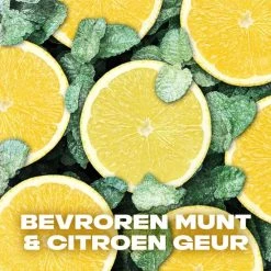 Uitgang ⭐ Axe Ice Chill Bodyspray Deodorant - 6 X 200 Ml - Voordeelverpakking ⭐ 10 Uitgang ⭐ Axe Ice Chill Bodyspray Deodorant - 6 X 200 Ml - Voordeelverpakking ⭐ -Weleda Shop 550x550 617