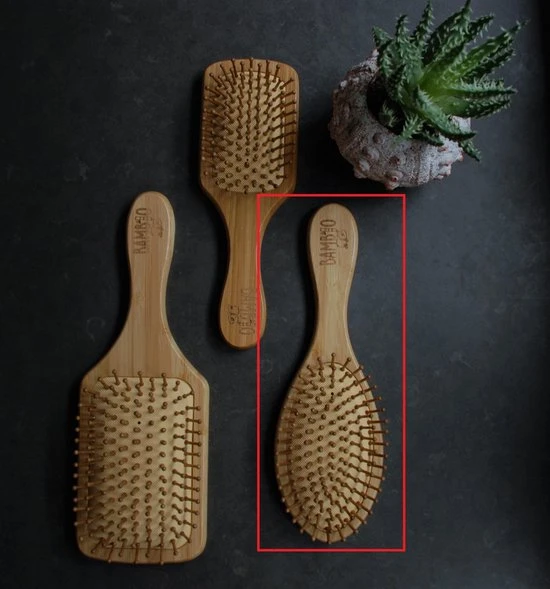 Nieuw ???? Bambio Bamboe Haarborstel Rond - Duurzaam - Biologisch ⭐ 3 Nieuw ???? Bambio Bamboe Haarborstel Rond - Duurzaam - Biologisch ⭐ - Afbeelding 3